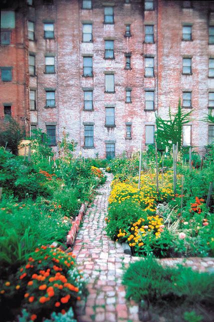 urban-gardening-66_12 Градско градинарство