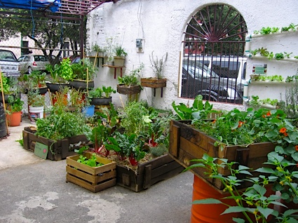 urban-gardening-66_2 Градско градинарство