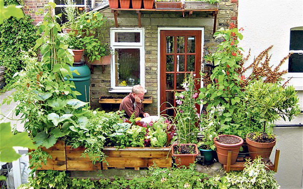 urban-gardening-66_4 Градско градинарство