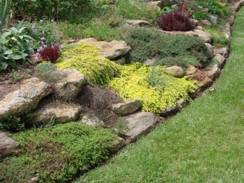 using-rocks-in-landscaping-79_5 Използване на камъни в озеленяването