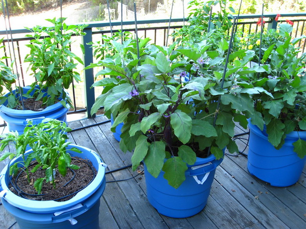 vegetable-container-gardening-ideas-24_14 Зеленчуков контейнер градинарство идеи