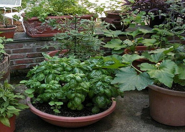 vegetable-container-gardening-ideas-24_18 Зеленчуков контейнер градинарство идеи
