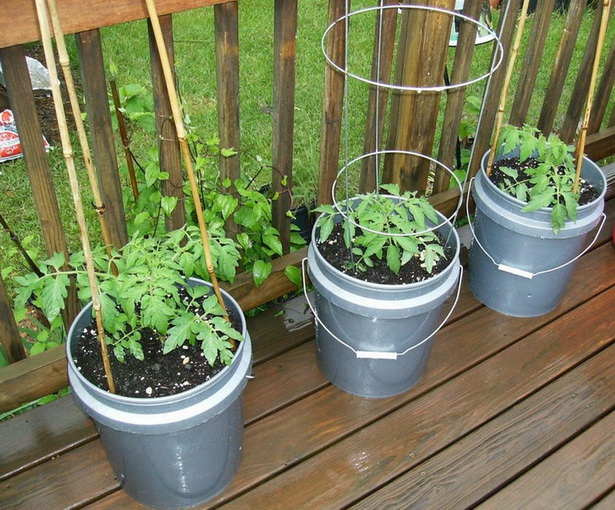 vegetable-container-gardening-ideas-24_2 Зеленчуков контейнер градинарство идеи