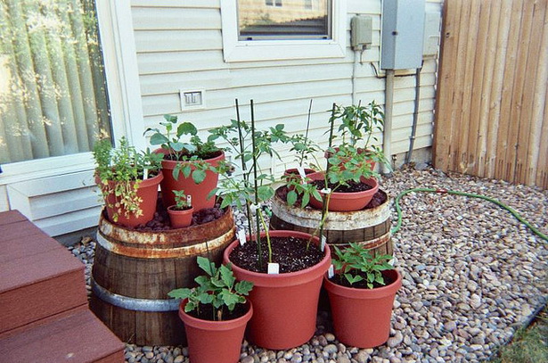 vegetable-container-gardening-ideas-24_8 Зеленчуков контейнер градинарство идеи