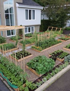 vegetable-garden-design-ideas-42_17 Идеи за дизайн на зеленчукова градина