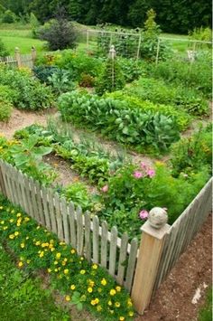 vegetable-garden-designer-95_19 Дизайнер на зеленчукови градини