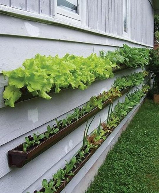 Дизайн на зеленчукова градина за малки дворове