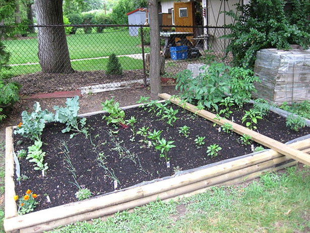 vegetable-garden-designs-for-small-yards-20_14 Дизайн на зеленчукова градина за малки дворове