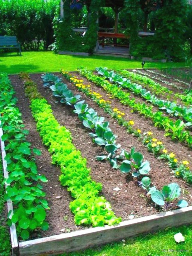 vegetable-garden-designs-for-small-yards-20_5 Дизайн на зеленчукова градина за малки дворове