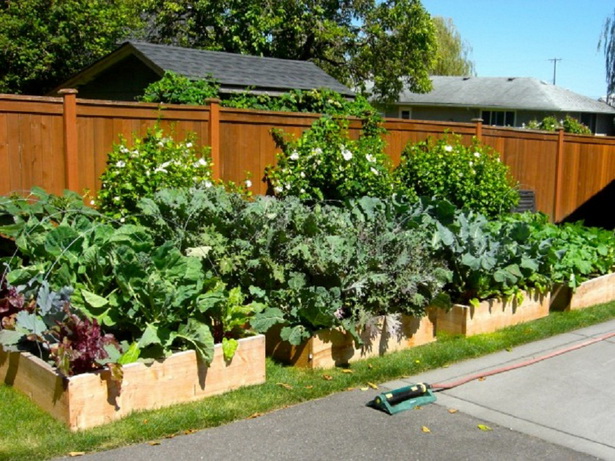 vegetable-garden-designs-for-small-yards-20_7 Дизайн на зеленчукова градина за малки дворове