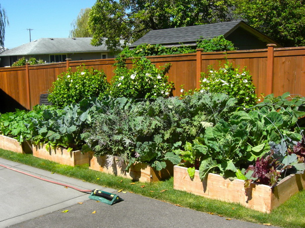 vegetable-garden-designs-for-small-yards-20_9 Дизайн на зеленчукова градина за малки дворове