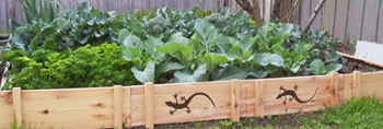 vegetable-garden-edging-ideas-66_20 Зеленчукова градина кант идеи