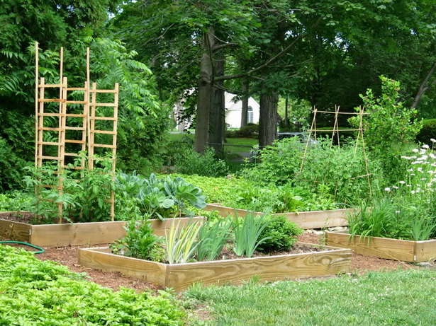 vegetable-garden-edging-ideas-66_4 Зеленчукова градина кант идеи