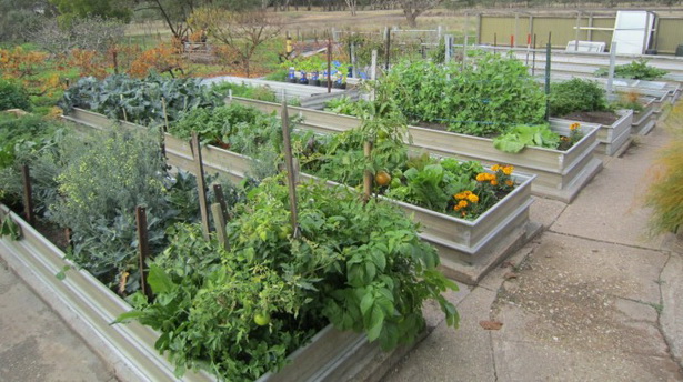 vegetable-garden-edging-40_14 Зеленчукова градина кантиране