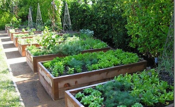 vegetable-garden-edging-40_15 Зеленчукова градина кантиране