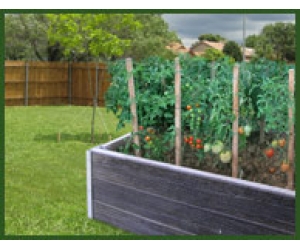 vegetable-garden-edging-40_16 Зеленчукова градина кантиране