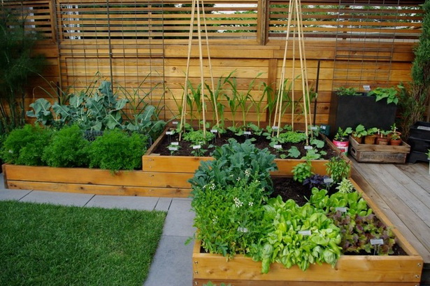 vegetable-garden-ideas-for-small-spaces-70 Зеленчукова градина идеи за малки пространства
