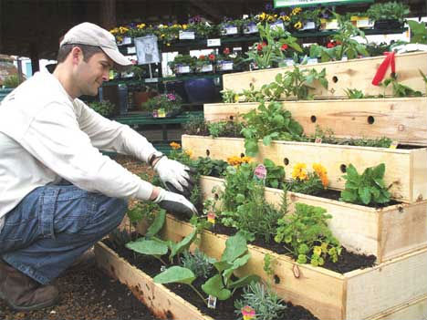 vegetable-garden-ideas-for-small-spaces-70_10 Зеленчукова градина идеи за малки пространства