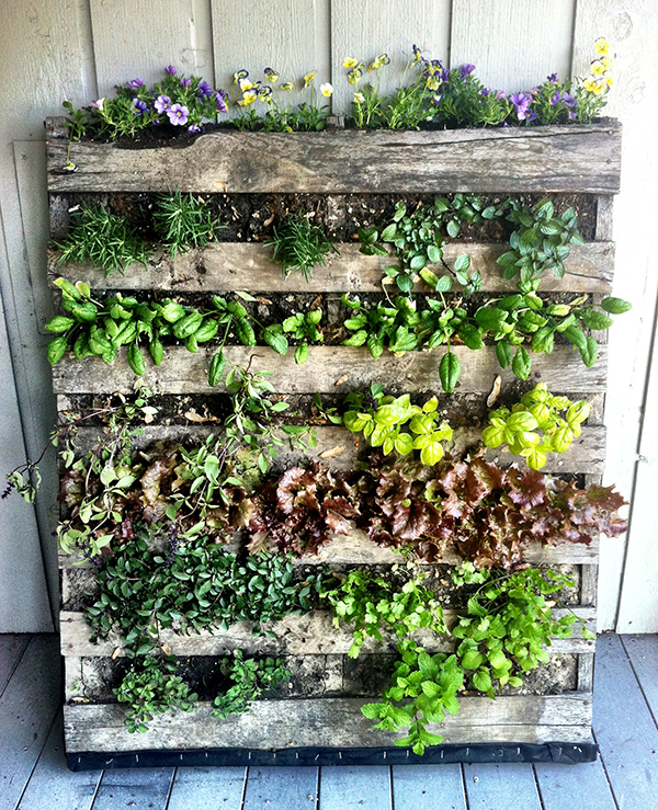 vegetable-garden-ideas-for-small-spaces-70_17 Зеленчукова градина идеи за малки пространства