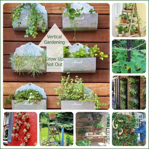 vegetable-garden-ideas-for-small-yards-46_10 Зеленчукова градина идеи за малки дворове