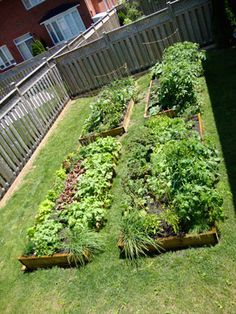 vegetable-garden-ideas-for-small-yards-46_12 Зеленчукова градина идеи за малки дворове