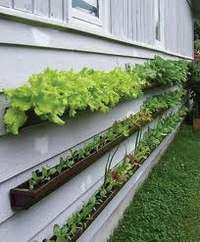 vegetable-garden-ideas-for-small-yards-46_5 Зеленчукова градина идеи за малки дворове