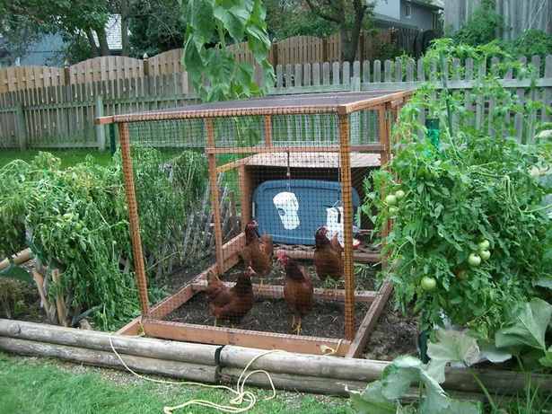 vegetable-garden-ideas-19_9 Идеи за зеленчукова градина