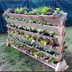 vegetable-gardening-in-small-spaces-75_13 Зеленчуково градинарство в малки пространства