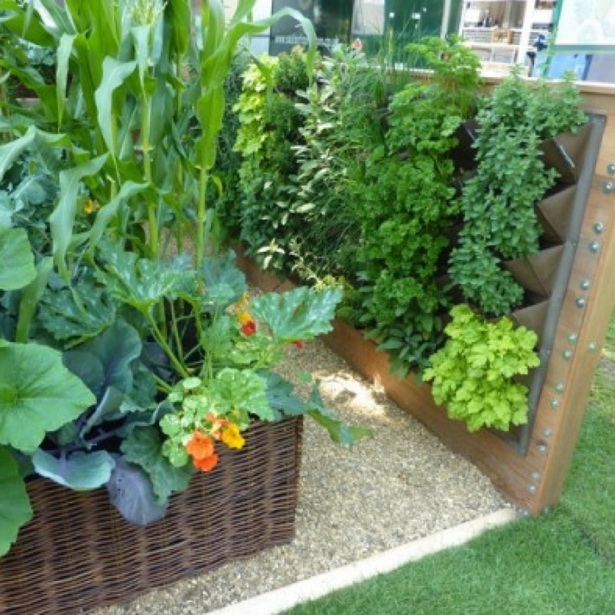Зеленчукови градини за малки пространства