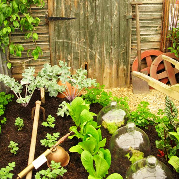 vegetable-gardens-for-small-spaces-06_18 Зеленчукови градини за малки пространства