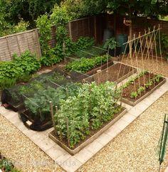 vegetable-gardens-ideas-94_8 Идеи за зеленчукови градини