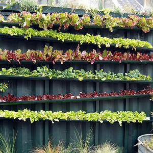 vegetable-gardens-in-small-spaces-18_9 Зеленчукови градини в малки пространства