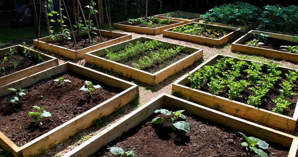 Дизайн на зеленчукова градина