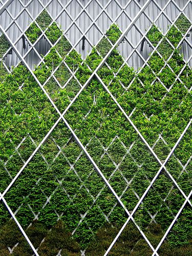 vertical-garden-design-01_10 Вертикална градина дизайн