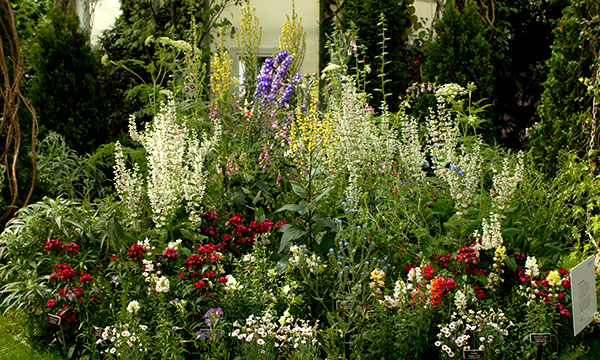 victorian-cottage-garden-77_12 Викторианска вила градина