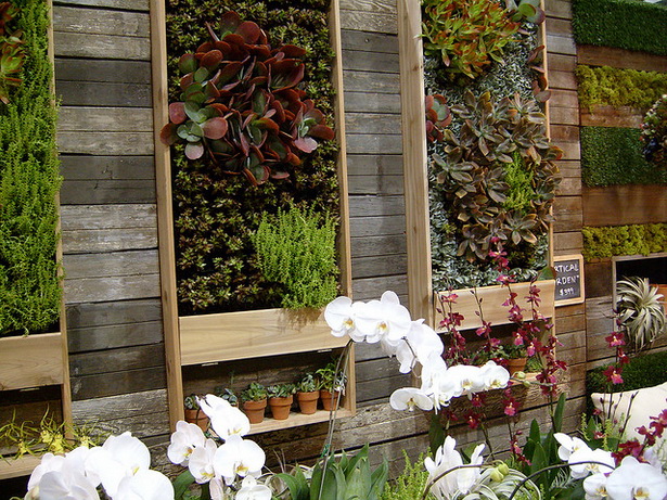 wall-garden-ideas-77_15 Идеи за стена градина
