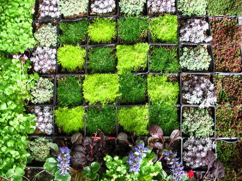 wall-garden-ideas-77_9 Идеи за стена градина
