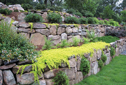 wall-landscaping-ideas-47_14 Идеи за озеленяване на стени