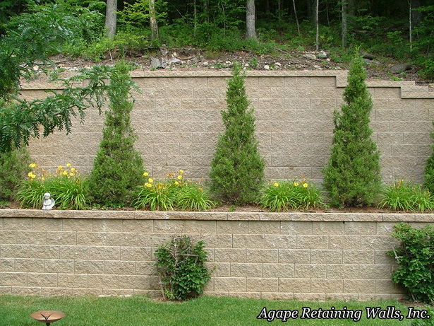 wall-landscaping-ideas-47_4 Идеи за озеленяване на стени