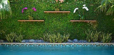 wall-landscaping-30_10 Стенно озеленяване
