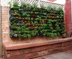 walled-garden-design-ideas-80_14 Идеи за градински дизайн