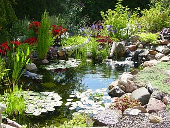 water-garden-design-ideas-39_3 Идеи за дизайн на водна градина