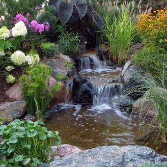 water-garden-design-88_16 Дизайн на водна градина