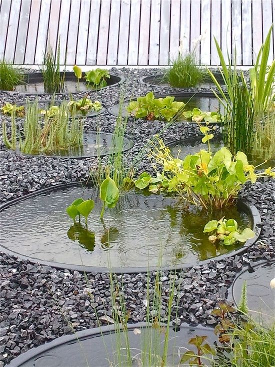 water-garden-design-88_3 Дизайн на водна градина