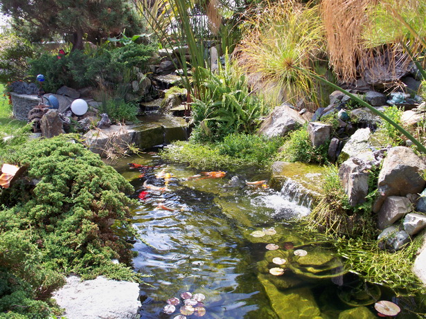 water-garden-design-88_8 Дизайн на водна градина
