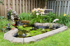 water-garden-design-88_9 Дизайн на водна градина