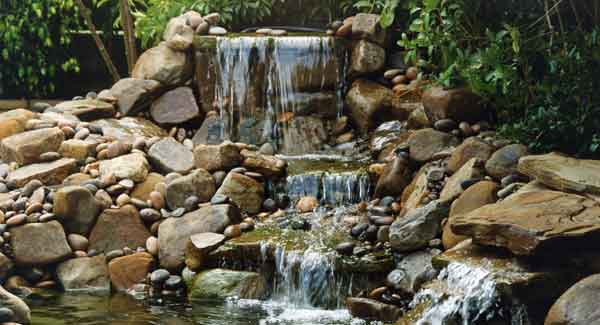 water-rock-garden-83_15 Водна алпинеум