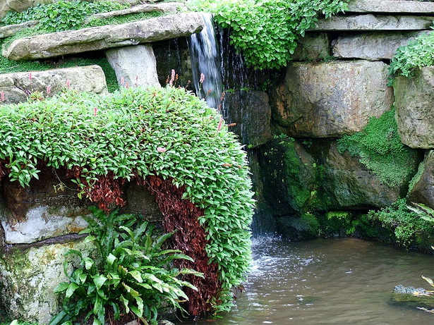 water-rock-garden-83_16 Водна алпинеум
