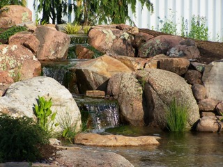 water-rock-garden-83_5 Водна алпинеум