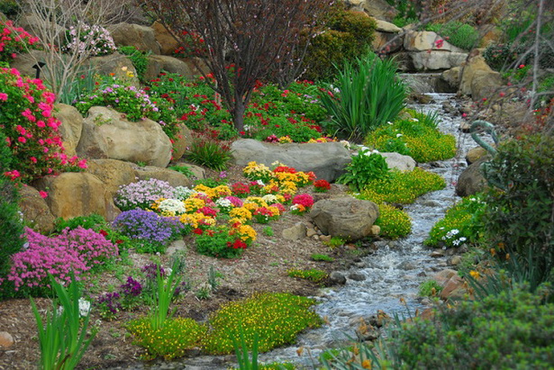 what-to-plant-in-a-rock-garden-67_14 Какво да засадят в алпинеума